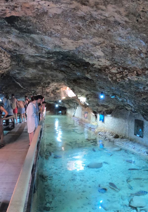 Parque Natural + Aquarium